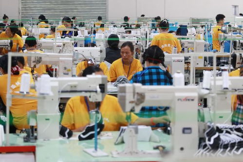 小康圓夢(mèng)丨對(duì)口幫扶工廠開在家門口 村民就業(yè)掙錢不用出遠(yuǎn)門