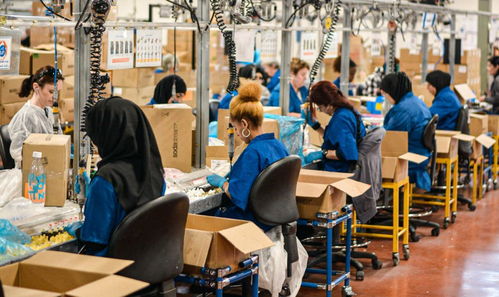 進(jìn)廠打工的大學(xué)生 每天站12個(gè)小時(shí) 4年存50萬