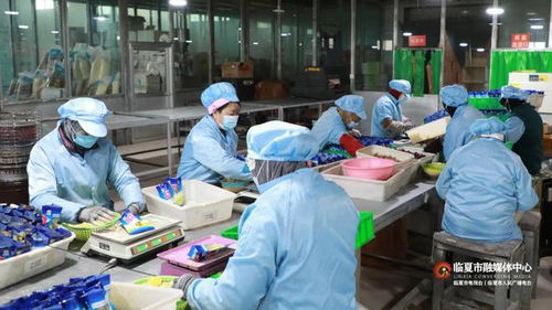 春節將至訂單增 臨夏市鄉村就業工廠奮力沖刺 開門紅