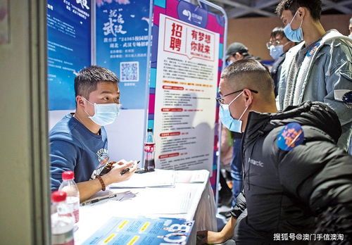 應屆生求職困境中的職業中介 機遇、風險與策略