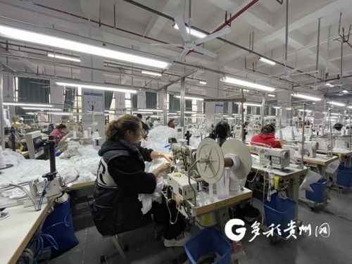 工廠(chǎng)建在家門(mén)口 產(chǎn)業(yè)就業(yè)雙豐收，職業(yè)中介活動(dòng)助力發(fā)展